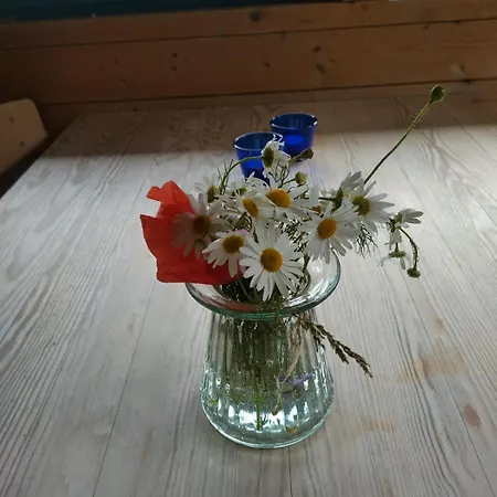 Kathoje Tatil Evi Lemvig