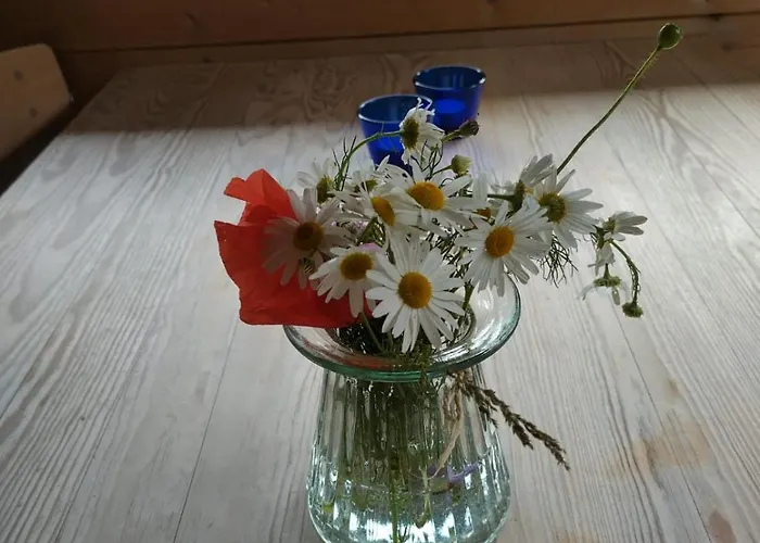 Kathoje Tatil Evi Lemvig